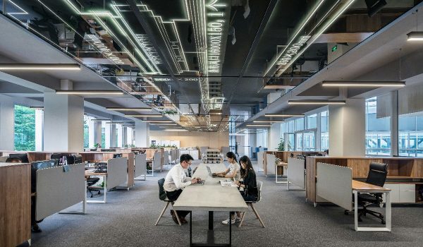 Cómo Elegir el Tipo de Empresa en los EAU